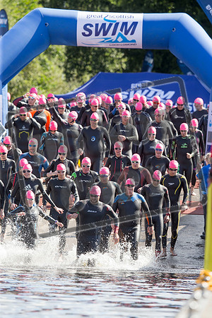 Great Swim