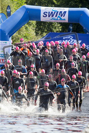 Great Swim