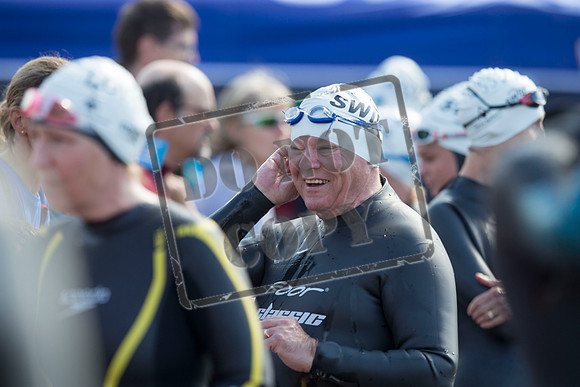 Great Swim