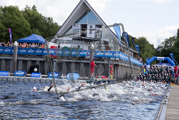 Great Swim