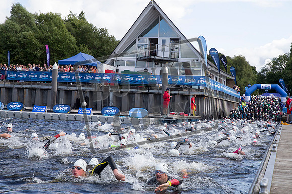 Great Swim