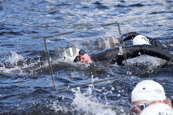 Great Swim
