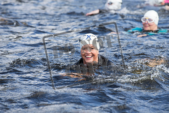 Great Swim