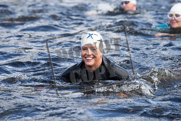 Great Swim