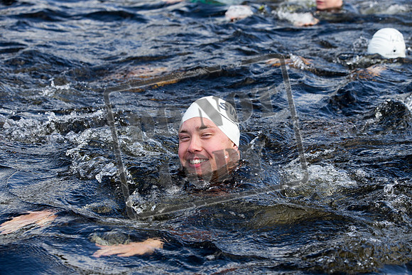 Great Swim