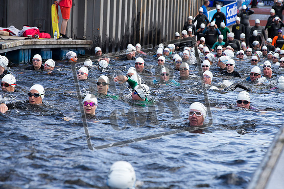 Great Swim