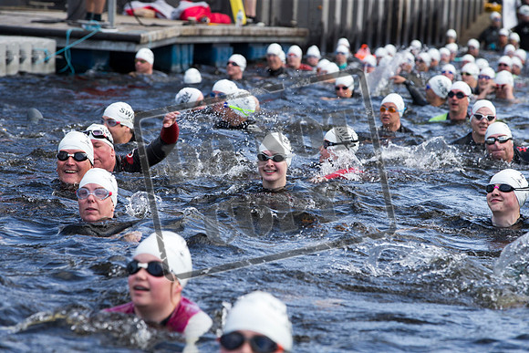 Great Swim