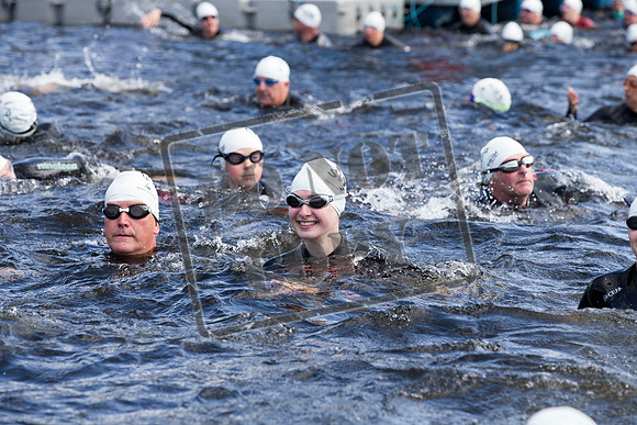 Great Swim