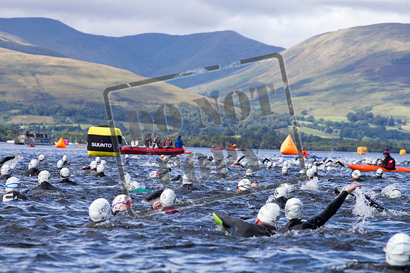 Great Swim