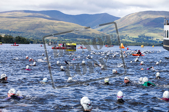 Great Swim