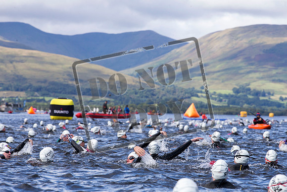 Great Swim