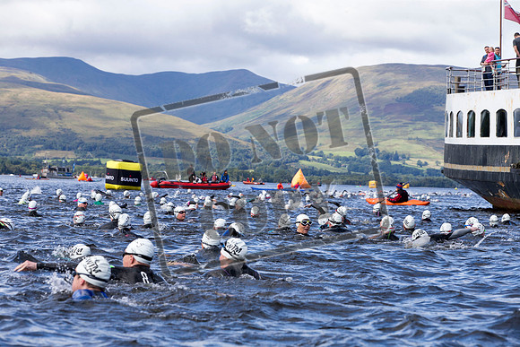 Great Swim