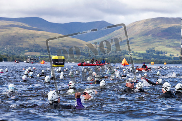 Great Swim