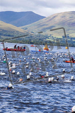 Great Swim