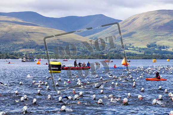 Great Swim