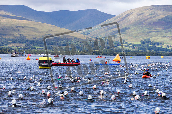 Great Swim
