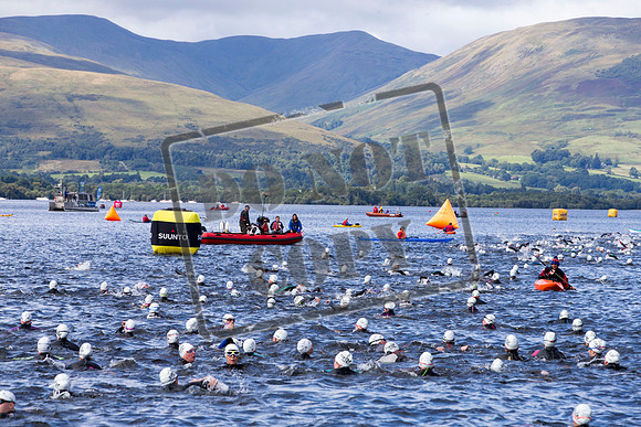 Great Swim