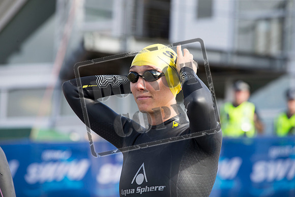 Great Swim