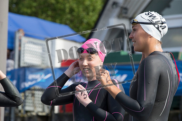 Great Swim