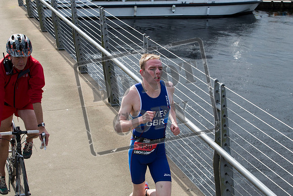 Great Swim