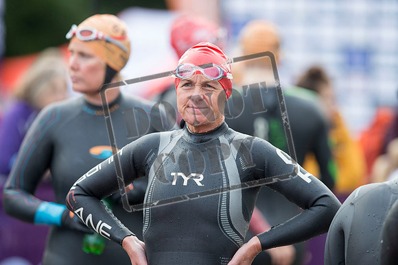 Great Swim