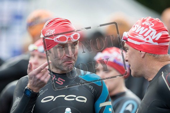 Great Swim