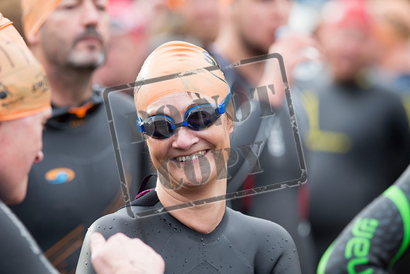 Great Swim