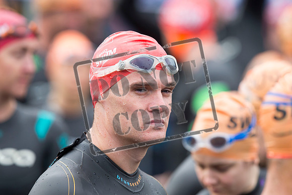 Great Swim