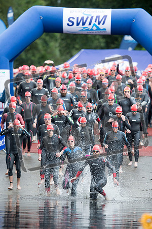 Great Swim
