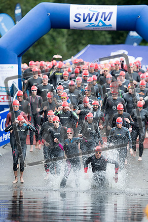 Great Swim