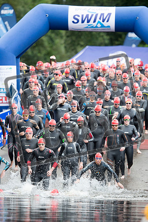 Great Swim