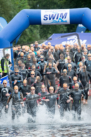 Great Swim