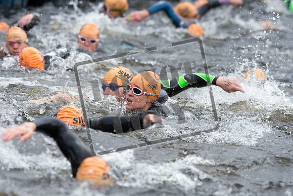 Great Swim