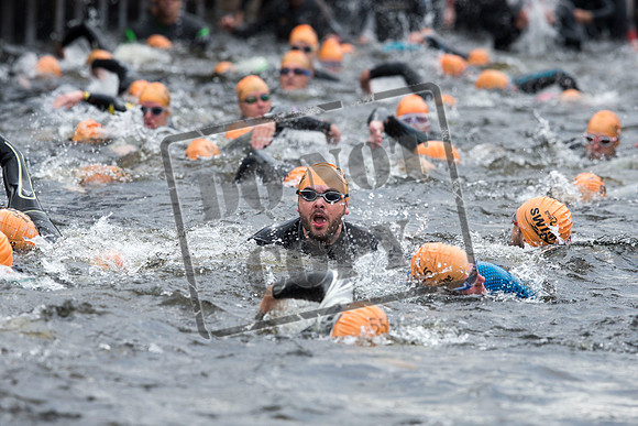 Great Swim