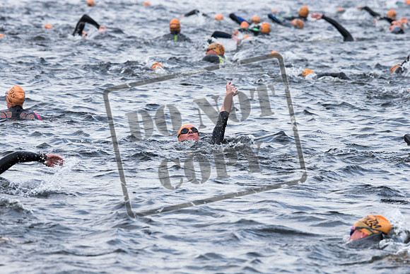 Great Swim