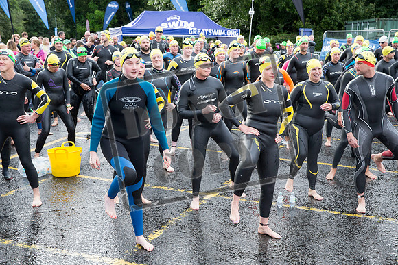 Great Swim