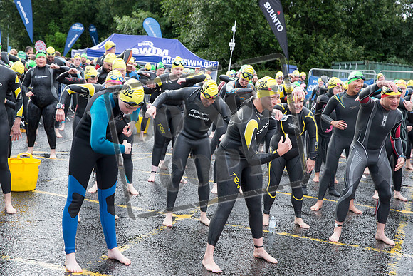 Great Swim