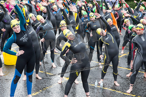 Great Swim