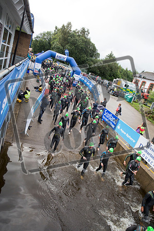 Great Swim