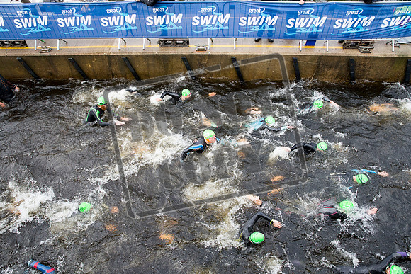 Great Swim