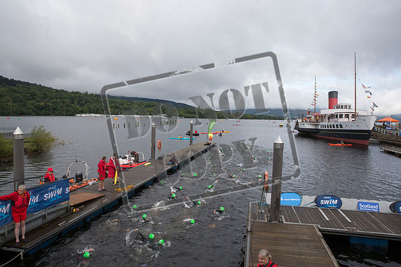 Great Swim