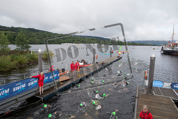 Great Swim