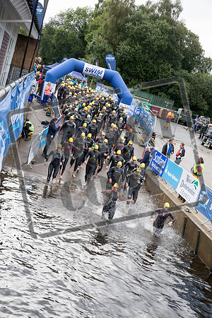 Great Swim