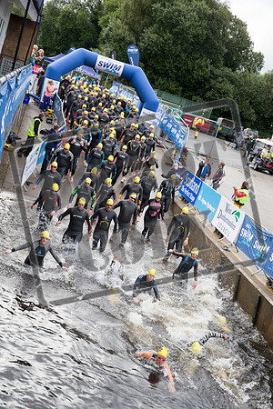 Great Swim