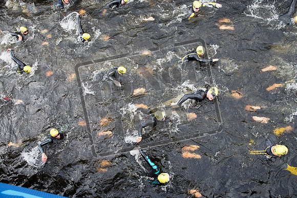 Great Swim