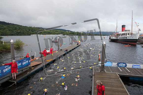 Great Swim
