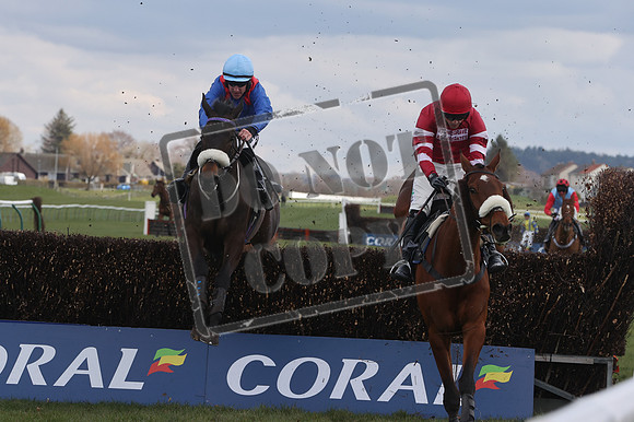 RACING Ayr