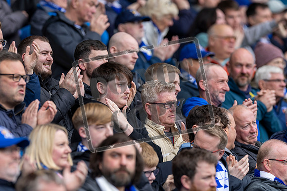 Kilmarnock v Ross County