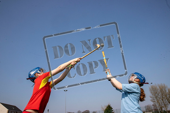 gaelic sport
