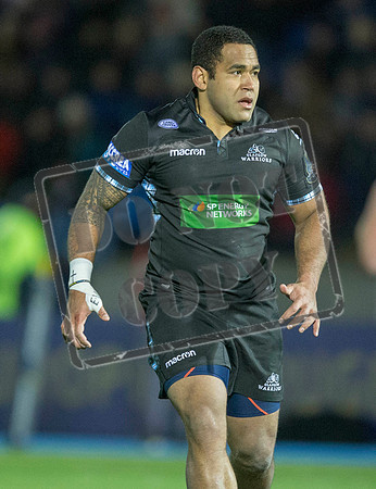 07/12/17 / EUROPEAN RUGBY CHAMPIONS CUPGLASGOW WARRIORS V MONTPELLIER - SCOTSTOUN - GLASGOW